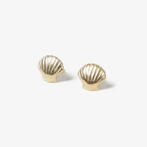 Shell Studs (Gold)