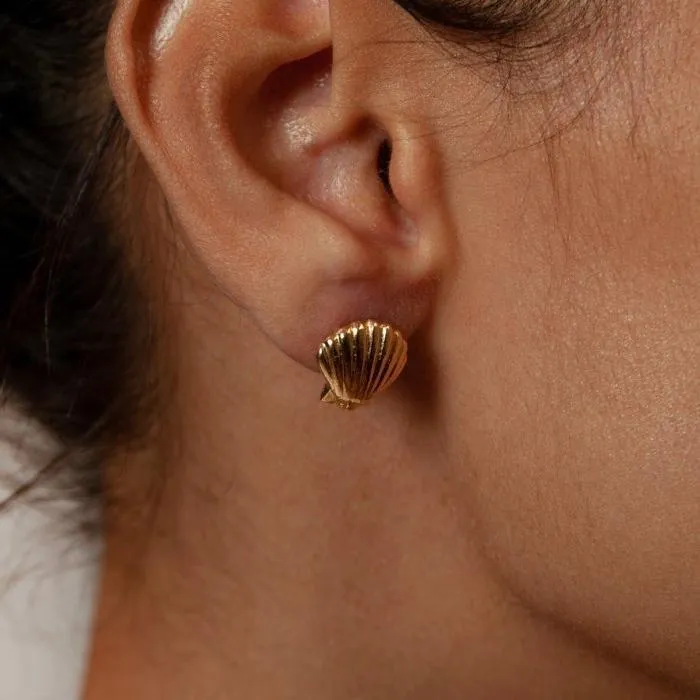 Shell Studs (Gold)